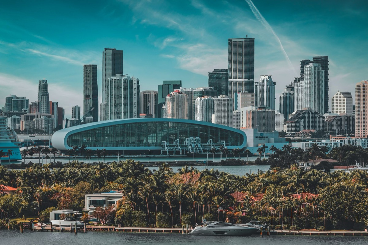 The Miami skyline with modern skyscrapers and waterfront palm trees under a blue sky.